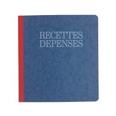 Recettes - Dépenses Recettes - Dépenses