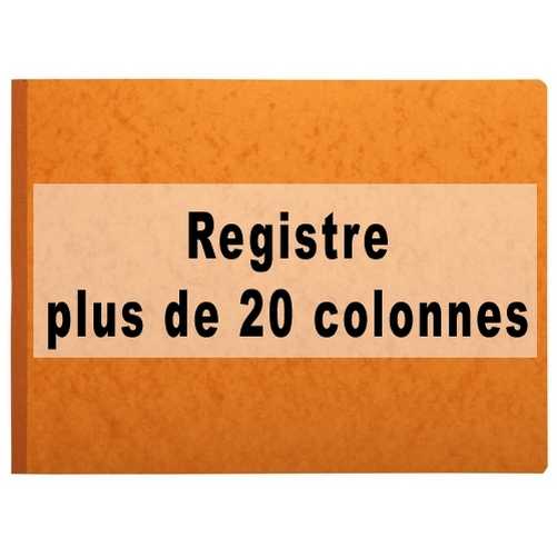 Plus de 20 colonnes Plus de 20 colonnes