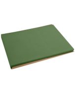 Set de Table en Papier - Vert Olive COGIR Lot de 500 