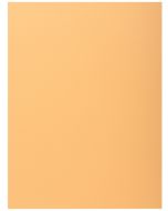 Lot de 50 Chemises à 1 rabat - Bulle EXACOMPTA Super 210 Image