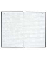 6529D LE DAUPHIN : Registre VS - 200 pages quadrillées avec foliotage - 297 x 210 mm