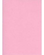 Fiches Bristol Unies A4 - 297 x 210 mm - Rose : ELVE Lot de 100 Photo