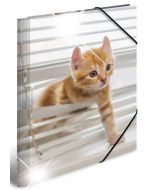 Photo Chemise à élastique A3 - Motif Chats HERMA image