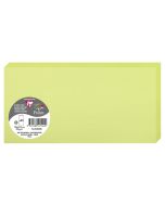 Photo POLLEN : Carte double de papier - Format DL - Vert bourgeon 22540C