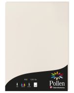 Photo Feuille de couleur Gris perle 210 x 297 mm A4 POLLEN 4268C