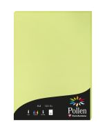 Photo Feuille de couleur Vert bourgeon 210 x 297 mm A4 POLLEN 44205C