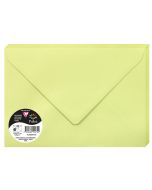 Photo Enveloppe POLLEN Vert Bourgeon Format 162 x 229 mm 555472C