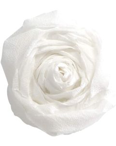 Papier Crépon - Blanc - 500 x 2500 mm : CLAIREFONTAINE Exemple