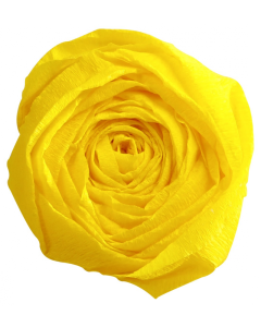 Papier Crépon - Jaune citron : CLAIREFONTAINE Photo