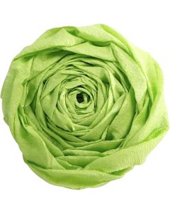 Papier Crépon - Vert pomme : CLAIREFONTAINE photo