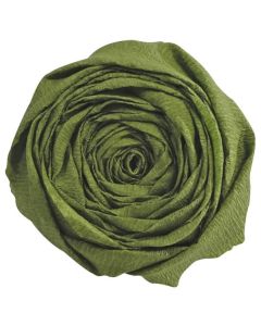 Papier Crépon - Vert mousse : CLAIREFONTAINE Visuel