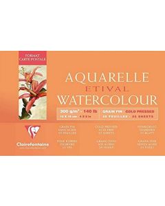 Bloc artiste aquarelle - 100 x 250 mm  : CLAIREFONTAINE Etival image