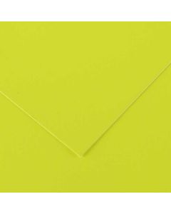 Feuilles de couleur 500 x 650 mm - Noir - CANSON Vivaldi