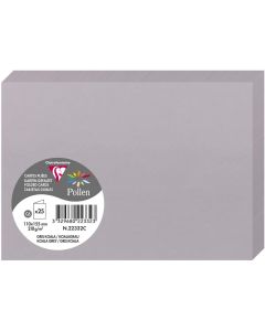 Photo Cartes double en papier - 110 x 155 mm C6 - Gris koala - CLAIREFONTAINE Pollen 
