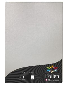 Photo Feuille de couleur Argent 210 x 297 mm A4 POLLEN 4199C