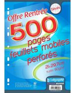 CALLIGRAPHE 9353C : Lot de 500 pages - Feuilles mobiles perforées Séyès - 210 x 297 mm
