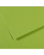 Feuille de papier dessin Mi-teintes - Vert - 500 x 650 mm : CANSON Exemple