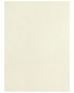 Plat de Couverture transparente pour reliure PAVO 8008568