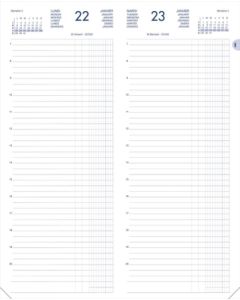 Agenda Journalier 2024 - Recettes et Dépenses - 140 x 350 mm : LECAS pages