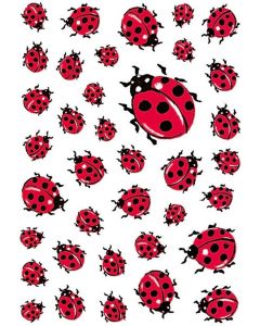 Stickers en papier - Coccinelles : HERMA Lot de 111 Visuel