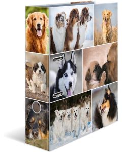 Classeur à 2 anneaux - Tendance métropole - Berlin : HERMA image