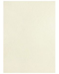 Plat de Couverture transparente pour reliure PAVO 8008568