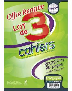 CALLIGRAPHE : Lot de cahiers - 96 pages Seyès - 210 x 297 mm 9123C