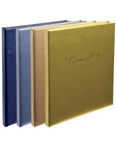Livre d'or - Balacron Shiny irisé - Assortiment - 210 x 190 mm EXACOMPTA Modèle