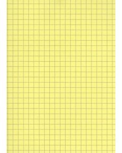 Fiches Bristol A4 - 297 x 210 mm - Jaune quadrillé ELVE B29713J Fournitures jaune
