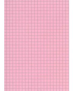 Fiches Bristol A5 - 148 x 210 mm - Rose quadrillé ELVE B14813R