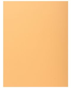 Lot de 100 Chemises à 1 rabat - Bulle EXACOMPTA Visuel