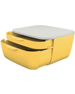 Photo Module de rangement - 260 x 195 x 190 mm - Caramel HAN Smart Box Plus Allisson