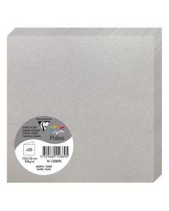 Photo Cartes double en papier - 135 x 135 mm - Argent : CLAIREFONTAINE Pollen
