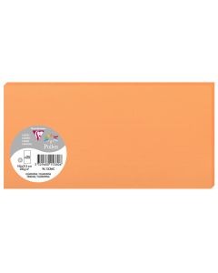 Photo POLLEN Carte DL Clémentine 106 x 213 mm 1536C Clairefontaine