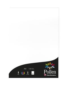Photo Feuille de couleur Blanc 210 x 297 mm A4 POLLEN 4239C