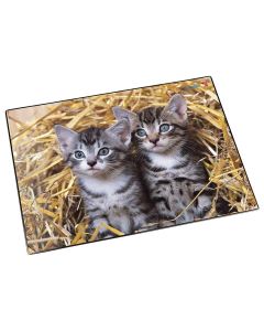 Photo Sous-mains de bureau - 530 x 400 mm - Chat dans la paille LAUFER 46637
