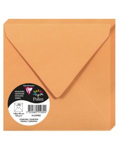 Photo Enveloppe POLLEN Clémentine Format  140 x 140 mm 5598C