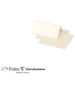 Photo POLLEN Porte-nom Ivoire irisé 85 x 80 mm 75086C Clairefontaine