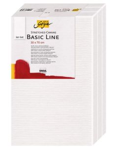 Photo C.KREUL :  Lot de 3 châssis pour peindre  - 300 x 700 mm