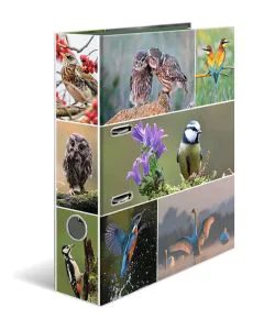 Classeur à 2 anneaux - Dos de 70 mm - Chevaux : HERMA image