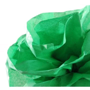 Papier de Soie - Vert Franc - 500 mm x 5 m : CANSON Image